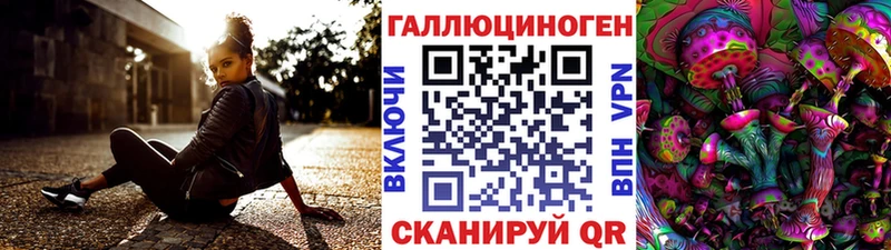 Купить закладки  Макушино  Псилоцибиновые грибы Psilocybe 